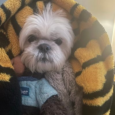 Tremayne0's profile picture. 