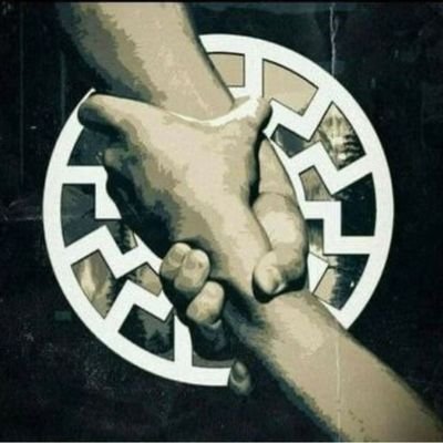 CarlSims6969's profile picture. Never forget Charlie Kirk, Austin Metcalf, & Iryna Zaruska. Wh¡te People- ✋🏻STOP🛑the infighting!! The J€W$ are still winning. 
🩸🤛🏻🛡⚔️