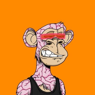 cincobtc's profile picture. UX Fox | Crypto since 17' | Partner @AisarLabs | Ambassador @OfframpXYZ