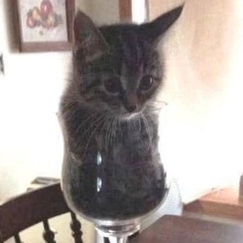 d_djpenis's profile picture. 16 boty