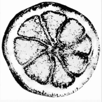 nobigfish's profile picture. Also find me on @nobigfish.bsky.social