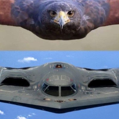 diego_arma54747's profile picture. political of 🇮🇱🎗️of Swchweissen of  Deutschland  of Maschinenbauingenieur