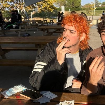 arenquedeque's profile picture. SJW cringe compilation