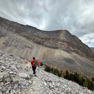 ckourounis_'s profile picture. 