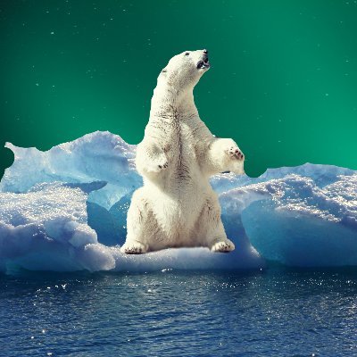 CarbonCapture10's profile picture. Protecting habitats for all species. 🐾🐅 How CCC funding supports biodiversity and conservation projects globally. Save their home https://t.co/xOmG0gaLDH