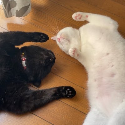 ssk_ssk1029's profile picture. 