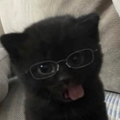 cursdngl's profile picture. i avoid