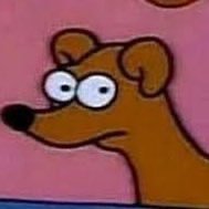 allruntz's profile picture. 