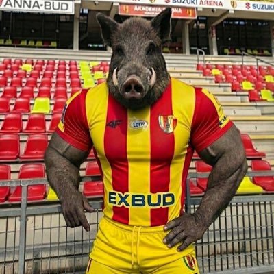 __dzik__'s profile picture. DUŻE CIĘŻARY - DUŻE PRZYROSTY