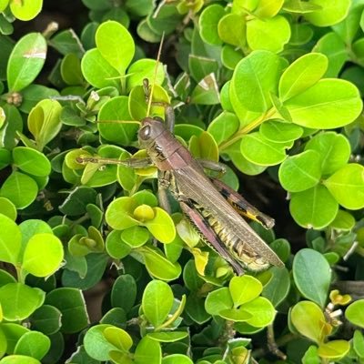 MonArellano23's profile picture. Ríe , sueña , ama ❤️

Psicóloga ✨