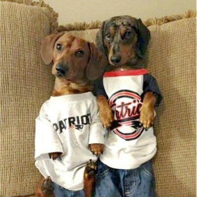 slopbik's profile picture. 