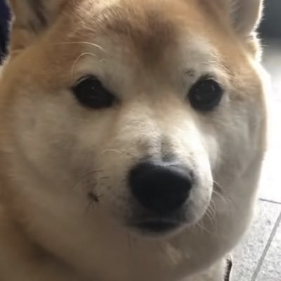 geometrydash616's profile picture. Wait I’m da goat