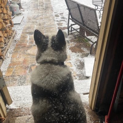 cld8785's profile picture. The one who gets it.