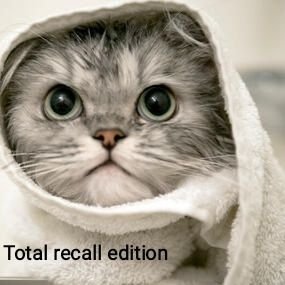 Rico_chop's profile picture. 'Nessun thaumazein, nessuno stupore: fu semplice intuizione del dolore'.

Cantore degli ultimi #stronzi.

Sub-ufficiale tattico alle letture.