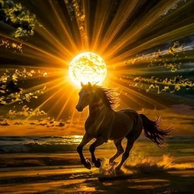 alwatheqbllah's profile picture. (العاقبة للمتقين)