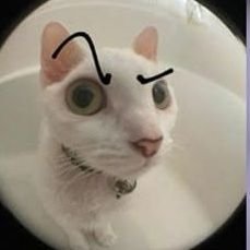 BiasedTS's profile picture. Stan BTS, Day6, TXT (seen), SVT, Enhypen (seen), Treasure, StayC (seen), P1H, TIOT, TNX and BND💋Juanjista radical💋(seen) I💕patitos🐤 She/her