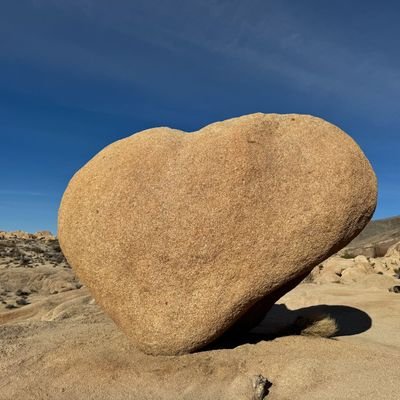 ebrima2277's profile picture. christian✝