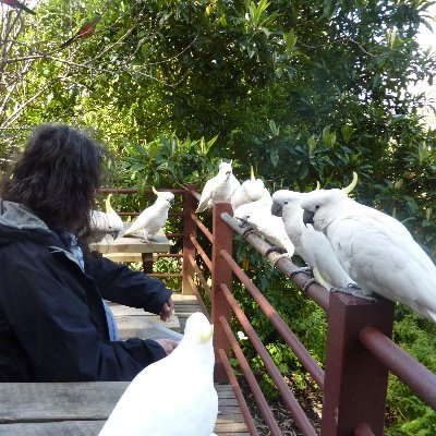 larrasket's profile picture. Engineering complex #fintech somewhere, ex tech @ibm. Occasionally doing  stemming algorithm development. Preparing a thesis. Contact: x@larr.net