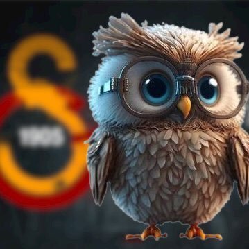 baykus_sjw's profile picture. Hak yiyen bok yesin. | @GalatasaraySK 💛❤️