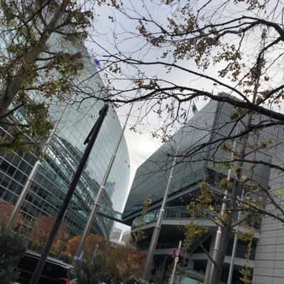 VP_Vehicle_TE's profile picture. My name is Shichisanwakeoji. I play games like FH, TDU, TSW6, WT, GTA, BF5, 6, 2042, and more.