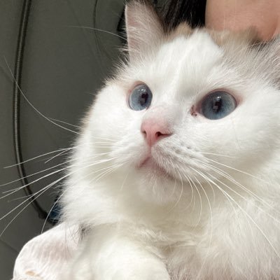 yngxioqng225958's profile picture. 