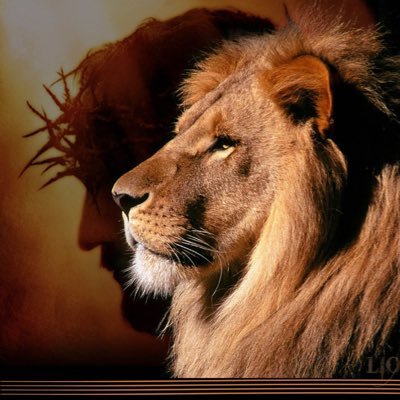BrensDream's profile picture. “Rejoice always, pray continually, give thanks in all circumstances; for this is God’s will for you in Christ Jesus.” 1 Thessalonians 5:16-18