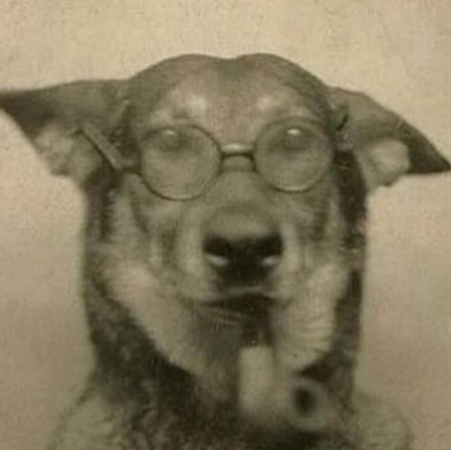 payholis44's profile picture. 