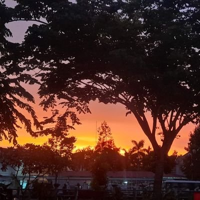 DuyAnh1561847's profile picture. 