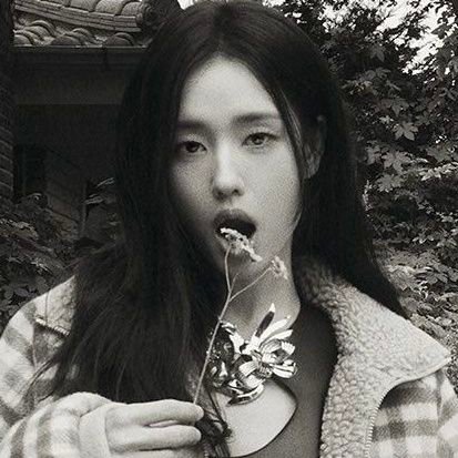 trapxnest's profile picture. love is the one thing that transcends time and space. maybe we should trust that, even if we cannot understand it.