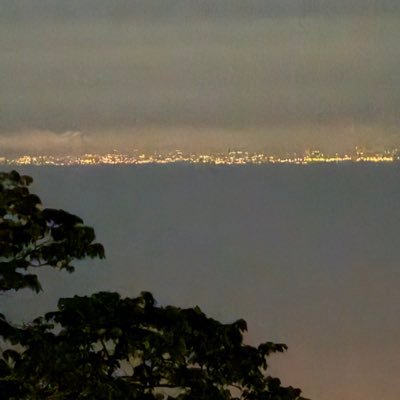 MiguelMari223's profile picture. 