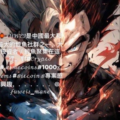 WE_PROMOER's profile picture. 🌏中國市場推廣者🚀將專案與中國社群聯絡起來📢電報/微信營銷和增長💎先令•炒作•社群建設