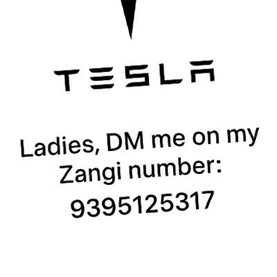 Elon661851Elon's profile picture. 