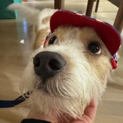 pijikao_o's profile picture. -Number One  rosie 🐿️🤍--