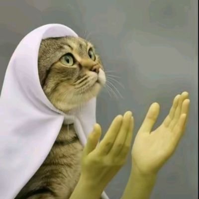 AyoTeeJay_'s profile picture. Ifb💯

@manUtd