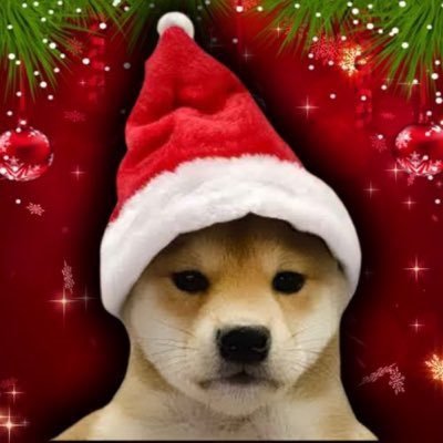 1x_support's profile picture. Official Swifmas on https://t.co/luvrIfoVYv 3Yh5ZmJ8nLfpX3QBbDUdV8UAFhwGCDwJ52AmtFZV pump