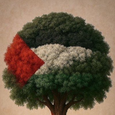 mhammedziad4's profile picture. Im mhammed from the gaza i live under genocide and under violent bombardment i ask you follow me This is my fourth account.I have been blocked four. ✌️🇵🇸