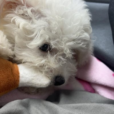 archHEH's profile picture. 決算発表後の市場は過剰反応しやすい。そこに現れるノイズを取り除くと、割安に置かれた銘柄の本質が見える。旅が大好きで、私の足跡は……🇸🇪 🇩🇪 🇮🇸