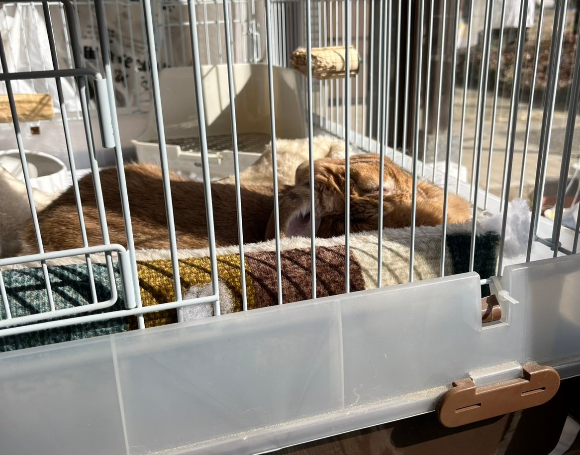 YUTT8GAZ's profile picture. @yuu08gaze←ゆうくんで作っていたアカウントが不正ログインか何かで入れなくなったので新しく作りました😓また改めてフォローさせてもらいますのでよろしくお願いします🙌the GazettE/HERESY/RUKIさん