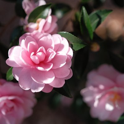 ささかま@5/6 東２ て84b