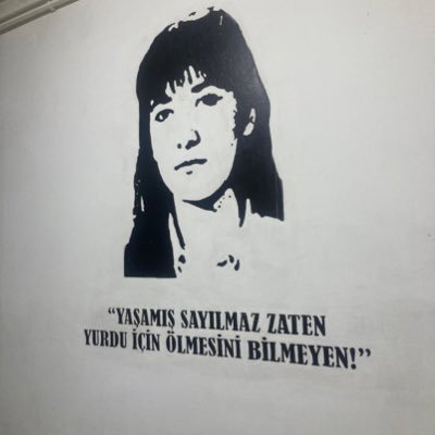 Leylau7or's profile picture. 