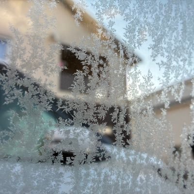 montotherookie's profile picture. musician and underpaid youtuber