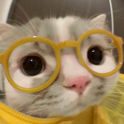 namacomoon's profile picture. 🔞 | creator of caitlien & vlime | swiftie | wife: @yarnbyte | NGL is open: https://t.co/q6pSwPHmHA | 🍉