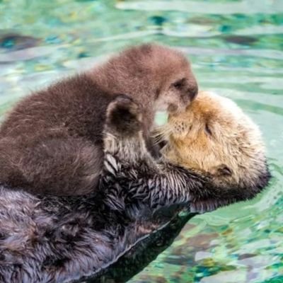 girobobutch's profile picture. white, twenty-four, level 2 autistic. gnc queer. retweet heavy. surviving? in THIS economy? whoa!! I block AI 🚫 😒