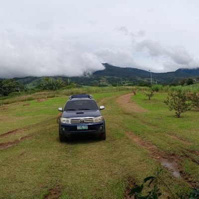 tutubiroger's profile picture. bioflu