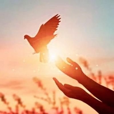 Topclassic79980's profile picture. 