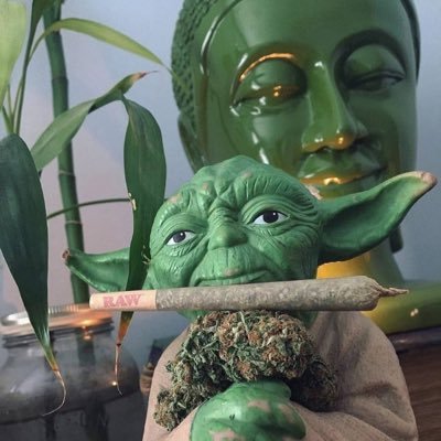 bobcarmen145's profile picture. 🫥