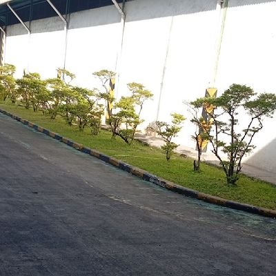 DosiBar's profile picture. 