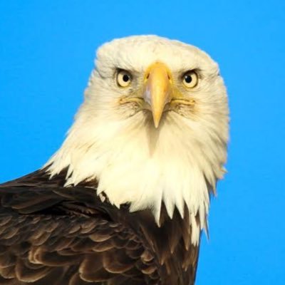 GW9iZcw8xt3824's profile picture. ゴローズ記録用 金ハート付き特大フェザー 細角チェーン 金メタル 平打ちブレス右手 平打ちリング右手小指 まで頑張るんやでぇ