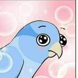 Trabaianu's profile picture. Mas olha só, quem diria