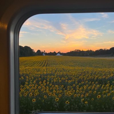 _GNatto's profile picture. 